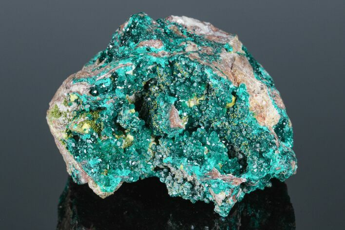 Gemmy Dioptase Clusters with Mimetite - N'tola Mine, Congo #175943